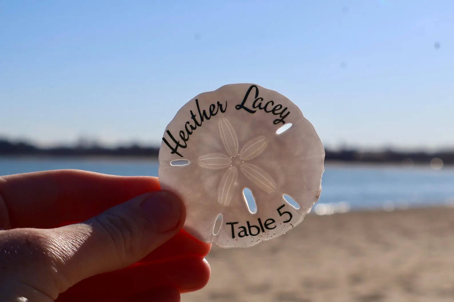 Sand Dollar Seashell Seating Chart — Seating Charts by Shoreline Bride