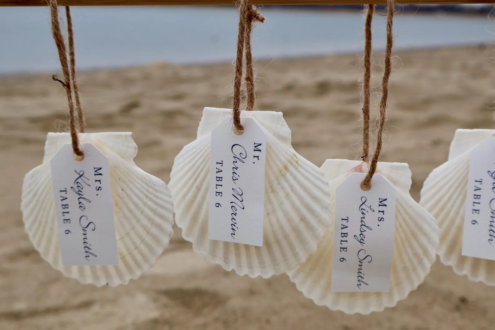 Scallop Seashell Seating Chart — Seating Charts by Shoreline Bride